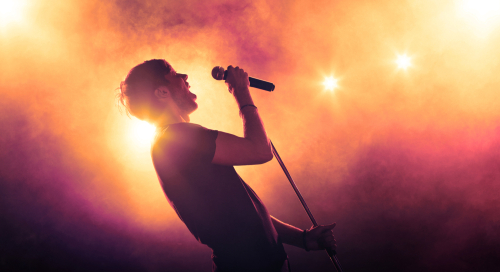 singer holding a microphone stand and performing on stage-img-blog